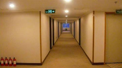 The Overseas Chinese Building Hotel Shenzhen Extérieur photo